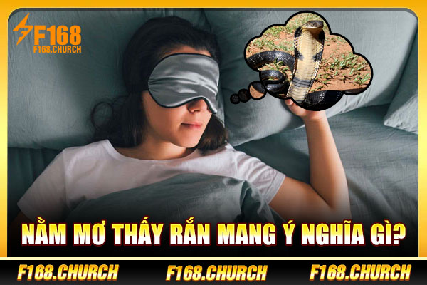 Nằm mơ thấy rắn mang ý nghĩa gì? Nằm mơ thấy rắn mang ý nghĩa gì?